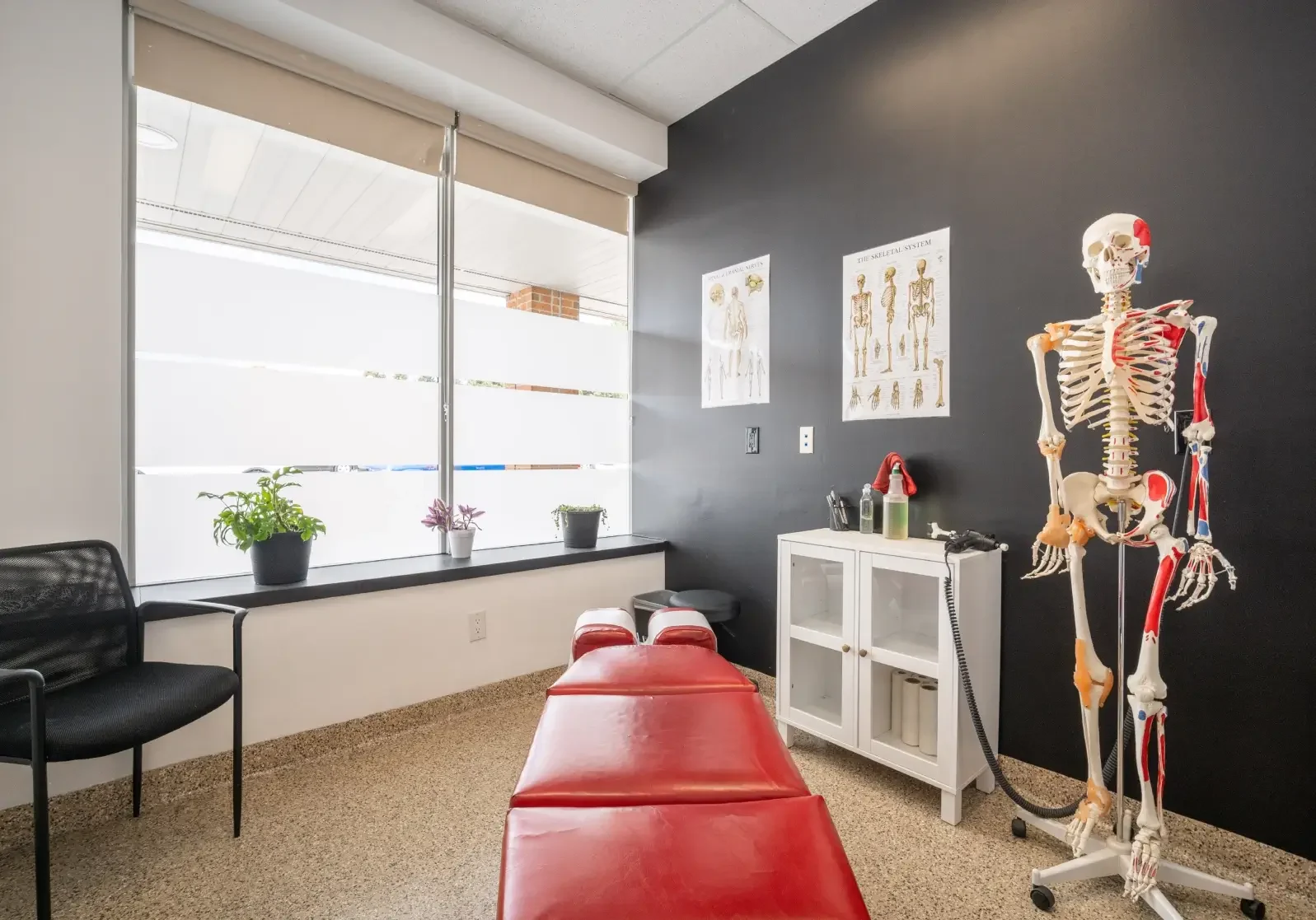 Chiropractic therapy room with skeleton model